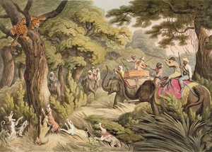 Caccia a un leopardo, da Oriental Field Sports, pub. da Edward Orme, 1807