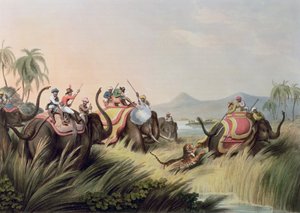 La tigre in trappola, da Oriental Field Sports, pub. da Edward Orme, 1807 da Samuel Howett