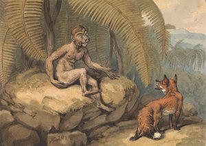 Una Scimmia e una Volpe da Samuel Howitt