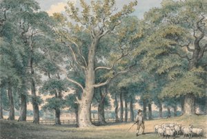 Paesaggio di un parco con pastore e pecore da Samuel Howitt