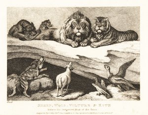 Un processo tra animali, con leone e tigre come giudici