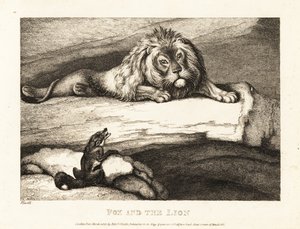 Una volpe si avvicina scioccamente a un leone maschio nella sua tana. 1811 (incisione) da Samuel Howitt