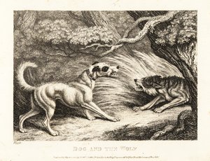 Un cane domestico con un collare offre cibo a un lupo affamato. 1811 da Samuel Howitt