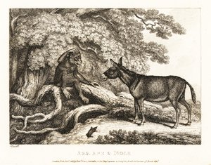 Una scimmia e un asino gemono finché una talpa li zittisce. 1811 (incisione) da Samuel Howitt