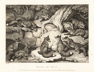 Un branco di volpi si incontra in una foresta. 1811 (acquaforte)