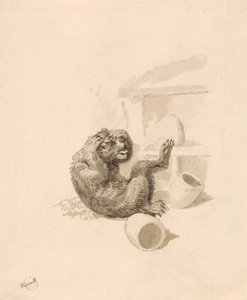 Orso e alveari