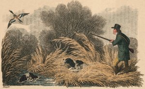 Caccia alle anatre, 1810 da Samuel Howitt