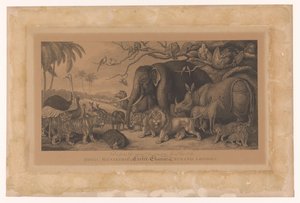 Animali esotici della menagerie reale allo Strand, Londra (Royal Menagerie, Exeter Change, Strand, London)