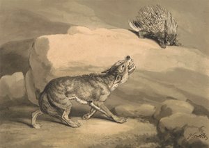 Volpe e il riccio (istrice) da Samuel Howitt