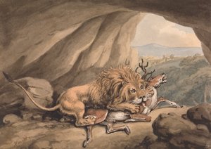 Leone che Attacca un Cervo da Samuel Howitt