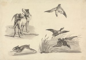 Foglio di Studi di Segugi, Lepre, Falco e Anatre da Samuel Howitt