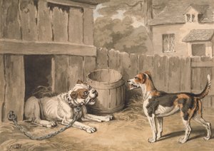 Il cane dispettoso