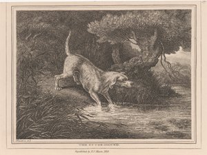 Il cane da lontra da Samuel Howitt