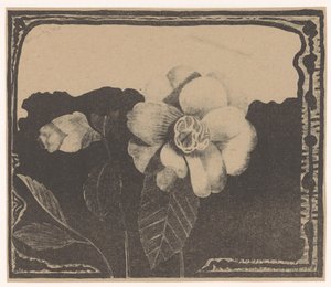 Camelia, a sinistra un fiore in bocciolo