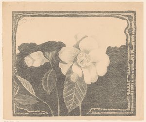 Camelia, a sinistra un fiore in bocciolo da Samuel Jessurun de Mesquita