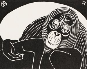 Orangutan da Samuel Jessurun de Mesquita