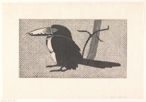 Tucano da Samuel Jessurun de Mesquita