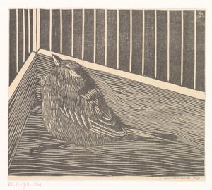 Uccello in un angolo di una gabbia