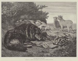 La sua prima visita al gregge, nell