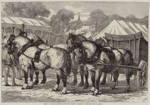 Riunione della Società Agricola del Lincolnshire a Sleaford, Squadra di Cavalli Vincitrice