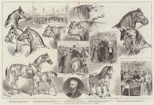 Schizzi alla Riunione della Royal Agricultural Society a Norwich