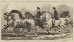 La mostra dei cavalli alla Agricultural Hall, Islington, parata di cavalli premiati, trottatori e hack