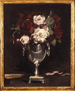 Rose rosse e bianche in un