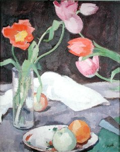 Tulipani