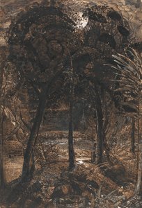Scena al chiaro di luna con un fiume tortuoso da Samuel Palmer