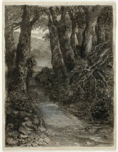 Studio di un Bosco da Samuel Palmer