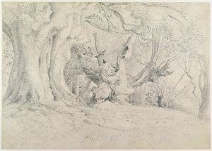 Alberi antichi, Lullingstone Park, 1828 da Samuel Palmer