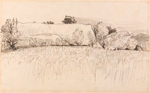 Campi di grano con fienile, Shoreham da Samuel Palmer
