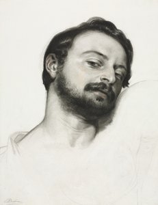 Testa di un uomo