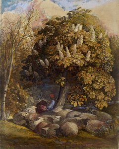 Pastorale con un Albero di Ippocastano, c.1830-31 da Samuel Palmer