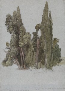 I cipressi alla Villa d