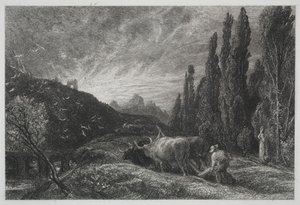 Il contadino mattiniero