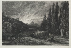 Il primo aratore
