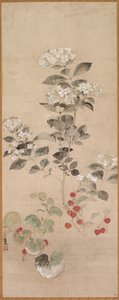 Fiori estivi da Samuel Prout