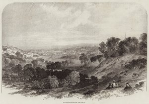 Hampstead-Heath da Samuel Read