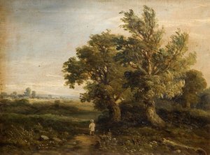 Paesaggio con alberi, 1863 da Samuel Restell Lines