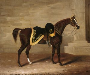 Copenhagen, il cavallo del Duca di Wellington a Waterloo da Samuel Spode