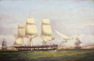 Eufrasia (olio su tela) da Samuel Walters