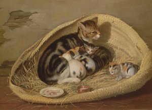Gatto con i suoi gattini in un cesto, 1797