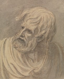 Testa di un uomo con barba che guarda a sinistra da Samuel de Wilde