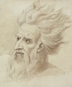 Testa di un Uomo con Barba e Capelli Lunghi al Vento