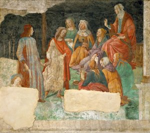 Un giovane introdotto alle Sette Arti Liberali da Sandro Botticelli
