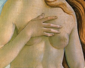 La nascita di Venere da Sandro Botticelli