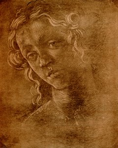 Testa femminile da Sandro Botticelli