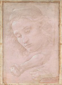 Testa di un giovane con cappello; un avambraccio destro con la mano che stringe una pietra; e una mano sinistra che tiene un drappo da Sandro Botticelli