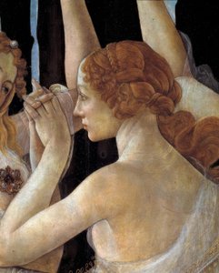 La Primavera da Sandro Botticelli